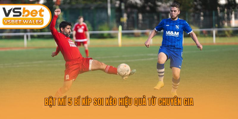 Bật mí 5 bí kíp soi kèo hiệu quả từ chuyên gia