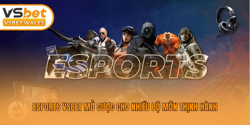 Esports Vsbet mở cược cho nhiều bộ môn thịnh hành
