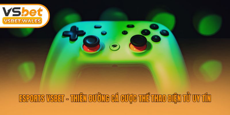 Esports Vsbet - Thiên đường cá cược thể thao điện tử uy tín