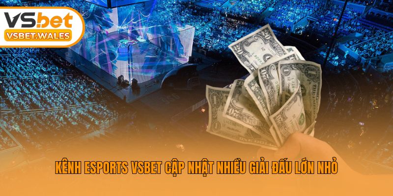 Kênh Esports Vsbet cập nhật nhiều giải đấu lớn nhỏ