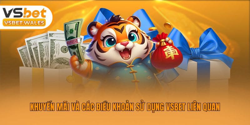 Khuyến mãi và các điều khoản sử dụng Vsbet liên quan