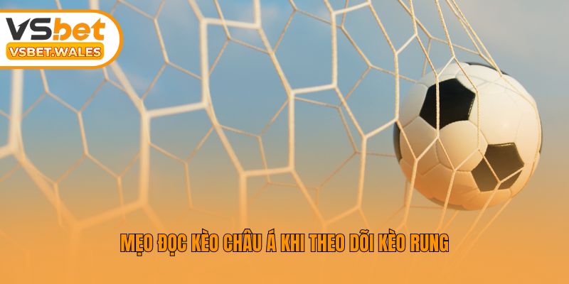 Mẹo đọc kèo châu Á khi theo dõi kèo rung