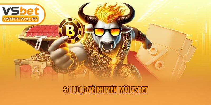 Sơ lược về khuyến mãi Vsbet
