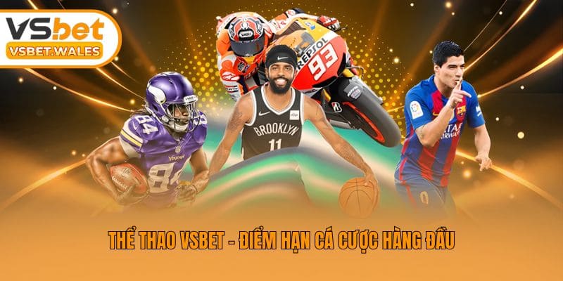 Thể thao Vsbet - Điểm hạn cá cược hàng đầu