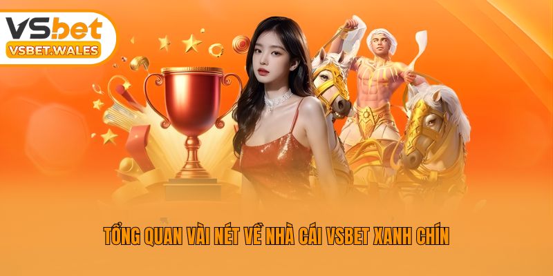 Tổng quan vài nét về nhà cái Vsbet xanh chín